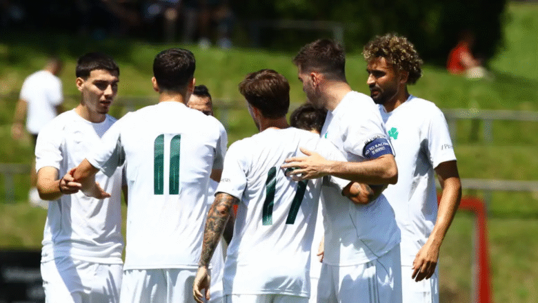 Τρίτο φιλικό προετοιμασίας με αντίπαλο την Σάλκε