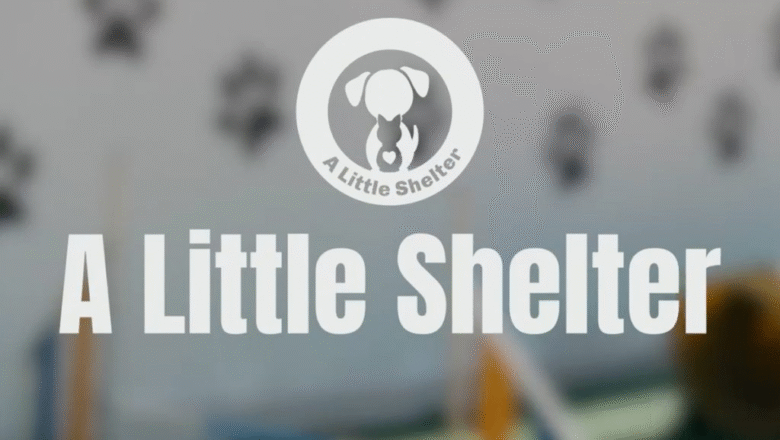 Χορηγός στη φανέλα ο οργανισμός “A Little Selter”